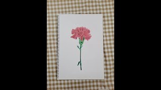 ❤️ Draw A Carnation 今天畫康乃馨 | Colored Pencils 色鉛筆