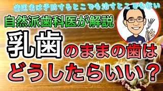 【自然派歯科医が解説】乳歯のままの歯はどうしたらいい？ #高橋浩司 #虫歯