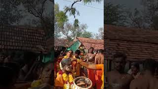 aadudhamma aaduthamma akkini satti#thiruppuvanam mariamman Kovil thiruvizha #