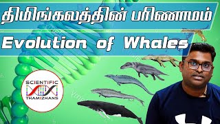 நிலத்தில் நடந்த திமிங்கலங்கள் Evolution of Whales - Key Stages Explained Tamil