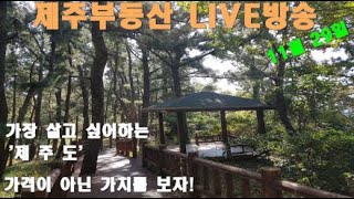 [LIVE]누구나 살아보고 싶은 제주도! 제주부동산시장 전망은 어둡지 않다. 비내리는 날 소통방송 #제주토지 #제주땅 #부동산상담 #제주도주택