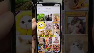 想要學多照片多重曝光嗎？不用任何技巧，靠 iPhone 捷徑就可以完成！#技巧 #收藏 #分享 #多重曝光 #捷徑