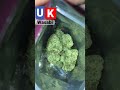 Uk wasabi 👨🏿‍🚀 #rapperweed #fyp #shorts #greenteam #gas #cali #topshelf