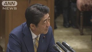 安倍総理「しっかりと反論」　自動車貿易問題で(17/01/31)