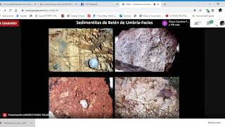 Estratigrafía de los depósitos del Cretácico Superior del W de Colombia