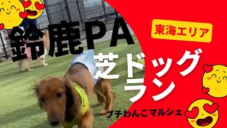 【愛犬とお出かけ】東海エリア/三重県鈴鹿パーキング/芝ドッグラン【ミニチュアダックス犬多頭飼】東海エリア