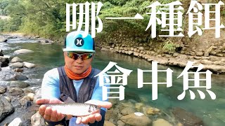 溪釣釣餌釣PK賽哪一種餌容易中魚? 溪遊紀之記得當時年紀小(苦花特攻隊EP23)