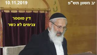 847. הלכה יומית - דין טוסטר צנימים לא כשר - הרב שלמה אבינר - יב חשוון תשפ - 10.11.2019