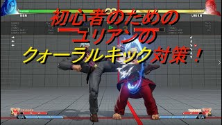 【初心者講座】ユリアンのクォーラルキック対策・確反【ケン】