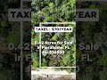 0.42 acres in florida for $16500 florida property foryou viral realestate land shorts fyp