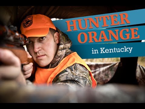 What is the Montana law requirement for hunter orange clothing Hunter Ed?