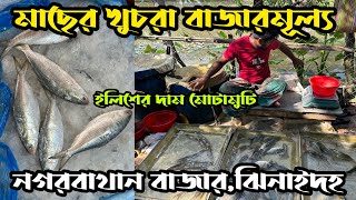 মাছের খুচরা দাম নগরবাথান বাজার ,ঝিনাইদহ।ইলিশের দাম মোটামুটি ঠিক আছে।