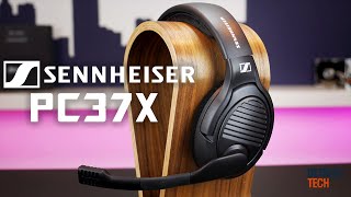 Sennheiser PC37X - The BEST Gaming Headset for the Money!