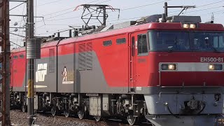 【爆音ジョイント音】2095レ常磐線貨物列車 EH500-81号機+コキ10編成 泉駅 到着