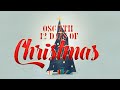 8th Day of Christmas : 8 DIYs | OSC YTH