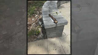 Atlanta city park owes back taxes to county, legal papers found under piece of wood | WSB-TV