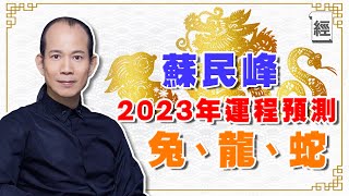 蘇民峰2023年生肖運程附字幕（兔龍蛇篇）屬兔犯太歲點化解 屬龍財運桃花不錯 屬蛇要把握公幹機會？ ｜十二生肖｜兔年運程