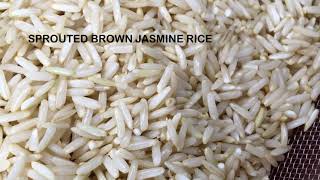 Making Brown Rice Sprouts at Home | బియ్యపు మొలకల తయారీ విధానం | अंकुरित चावल बनाने की तरीका