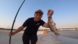 D3 Fishing Spot Business Bay, Jaddaf Fishing Spot in Dubai 2024