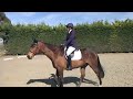 First Dressage Outing - Intro 1 (2024) 64.55% - 12th April 2025