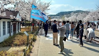 꽃과 사람 다 좋아! 온 사방이 꽃천지 사람천지 #축제