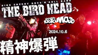 THE BIRD HEAD【バードヘッド】「精神爆弾（歌詞あり）」Live@京都MOJO 2024.10.6