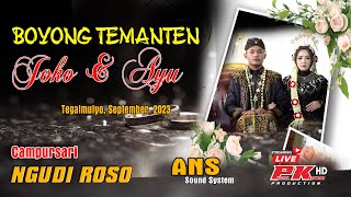 #LIVE TUNDA CAMPURSARI NGUDI ROSO BOYONG TEMANTEN JOKO &  AYU ~ ANS AUDIO ~ PK VIDEO SHOOTING