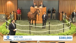 Practical Joke colt sells for $380,000 at NY Bred Yearlings (2023)