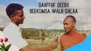 Gaaffiif deebii beekumsa walii galaa irratti xiyyeefate