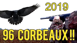 Chasse corbeaux 2019