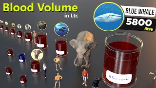 Blood Volumes comparison by liter    | Animal | Dinosaur | Godzilla| Kong | Human bloods