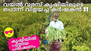 വയൽ വരമ്പിലെ കൃഷിയുടെ പുതിയ പരീഷണം | New farming method in Kerakla |