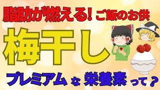 日本のごはんのお供、梅干し！脂肪燃焼成分が入っていた！古くから重宝されてきた食品の、とんでもない栄養価って【ゆっくり解説】