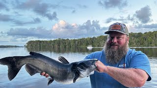 Cast Netting SHRIMP and Catching CATFISH! | Catch Clean Cook