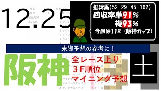 12月25日土曜日　阪神競馬場　上り3F順位データ　阪神カップ　2021(新馬戦除く)