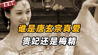 杨贵妃居然不是玄宗最爱的女人，东宫皇妃才是他的白月光