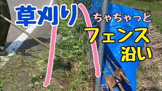 【草刈機】フェンス沿いの草刈り、時間をかけたくないので、ナイロンコードでささっと終わらす‼︎ 買ってよかったブロワー送風機！！