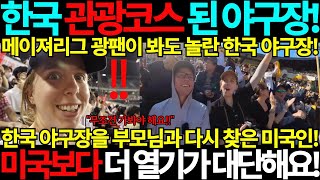 한국 관광코스가 된 야구장! 미국보다 한국 야구장 열기가 더 대단해요! 미국 메이저리그 광팬도 감탄! 야구 응원 문화 한국음식 해외반응 국뽕 프로야구 KBO 잠실야구장 사직구장