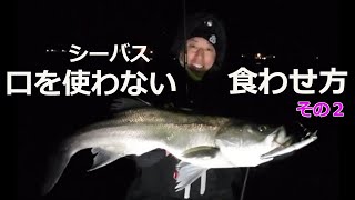 冬の口を使わないシーバスの食わせ方その２