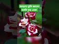 সূরা জীবনের শেষ ভিডিও মনে করে ভিডিওটা সবাই দেখেন duet