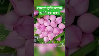 #সূরা জীবনের শেষ ভিডিও মনে করে ভিডিওটা সবাই দেখেন #duet