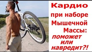 Кардио при Наборе Массы: Поможет или Навредит?!