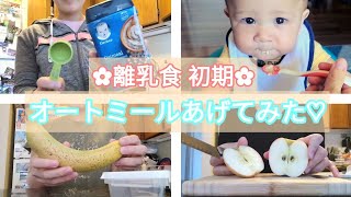 【離乳食•初期】馴染みのないオートミールを離乳食としてあげてみました!!|国際結婚|アメリカ生活|