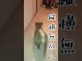 【ちゃちゃ丸】柴犬が我が家にやってきた2019年4月21日 shorts