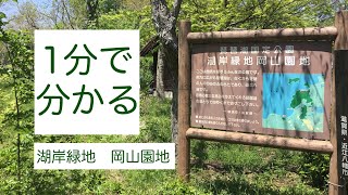 琵琶湖　湖岸緑地　岡山園地（キャンプ不可）車中泊　滋賀県　守山市　1 分で分かる　お風呂　温泉　買い物　野宿　無料キャンプ場　#368