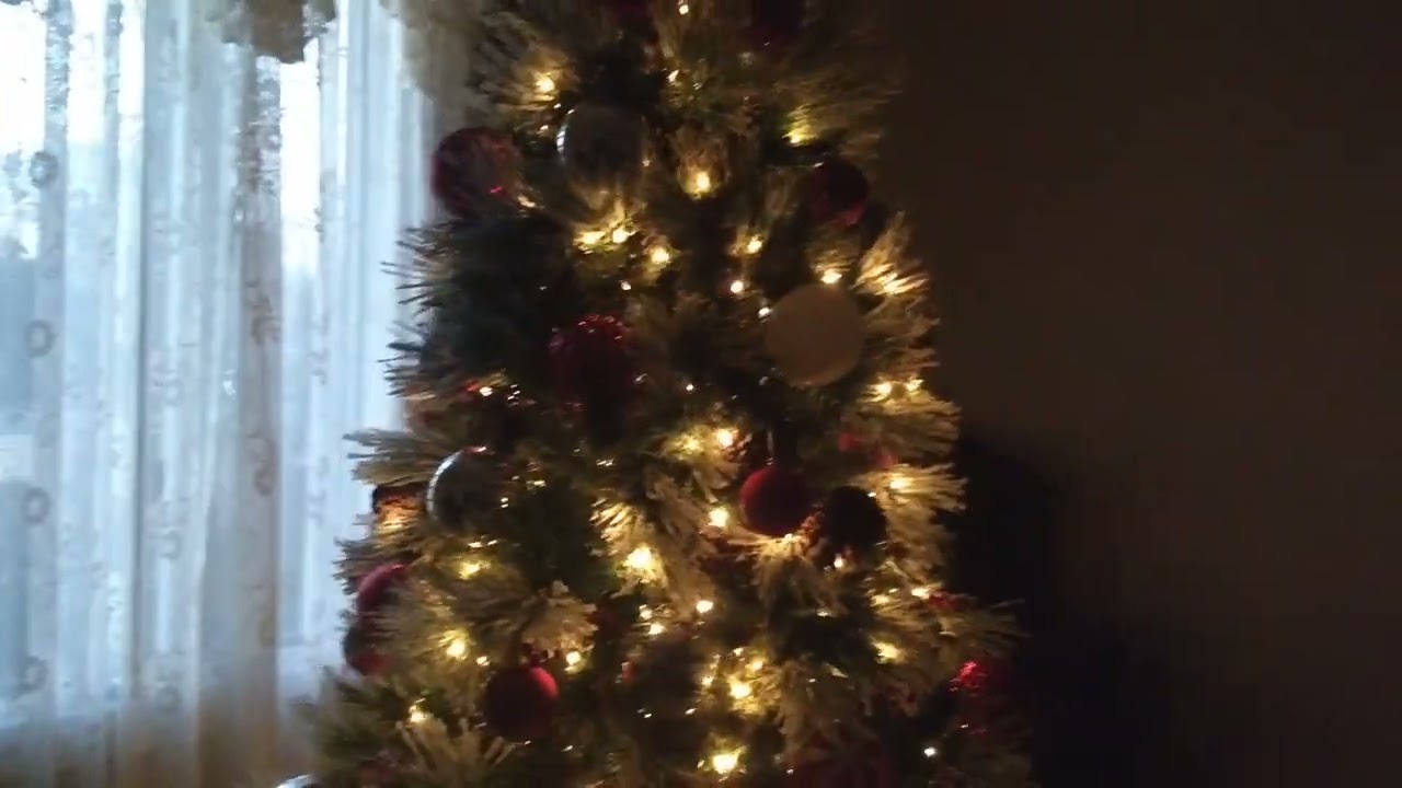 Tree Youtube Tree Youtube