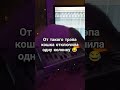 От такого трэпа кошка отключила колонку 😂 cat music