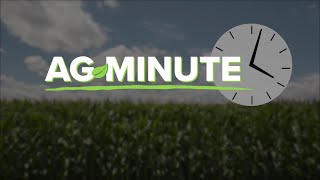 Ag Minute #919 Leaning Corn Plants (Air Date 9-30-18)