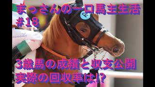 まっさんの一口馬主生活＃18　3歳馬の成績と収支公開！実際の回収率は！