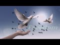 unKNOWN - Freedom (Valdi Sabev vs Enigma)